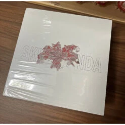 Skullpanda Fatal Enchantment Limited Figure -Doll Shop 1 31102eb5 334f 475c bf2b 462b522f6b98